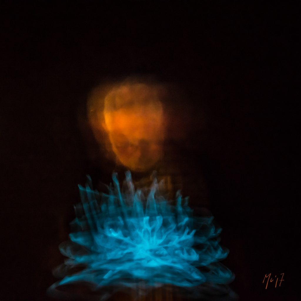Enchantements Mu Art Bioluminescent Muriel Blondeau