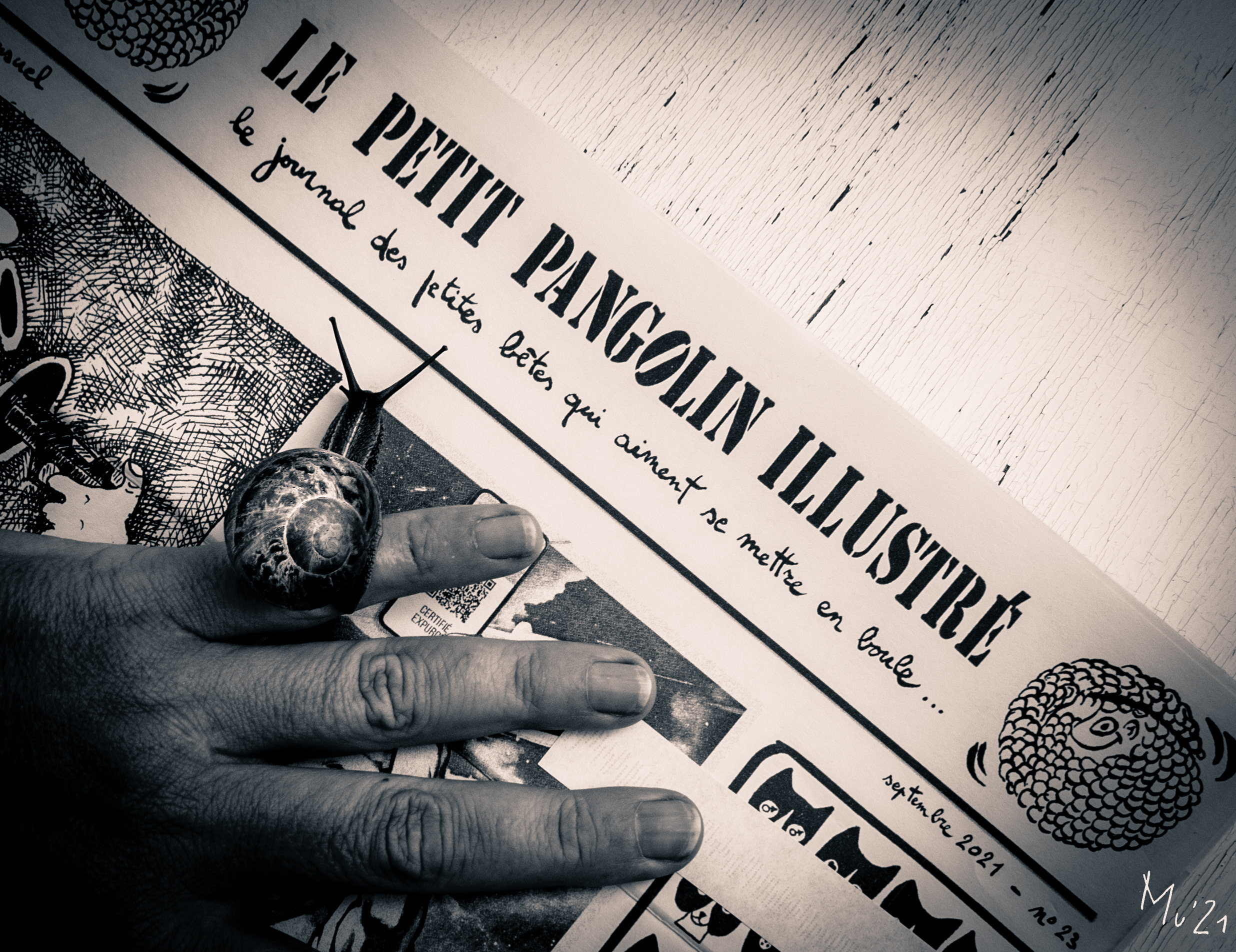 Le Petit Pangolin Illustré n°23 Editions Fanzinorama Mu Blondeau