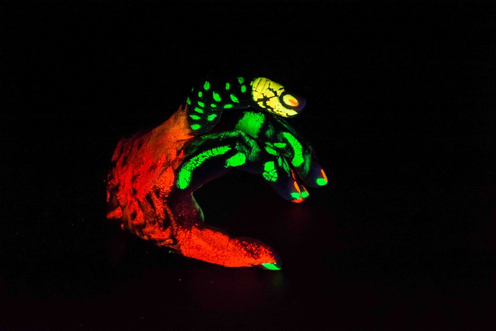 3Fluorescence « Anielka Castillo 2016; Photo: Mu.