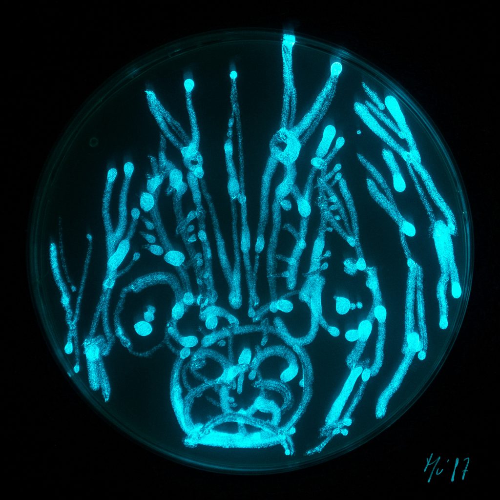 Petite Vie Mu Art Bioluminescent Muriel Blondeau