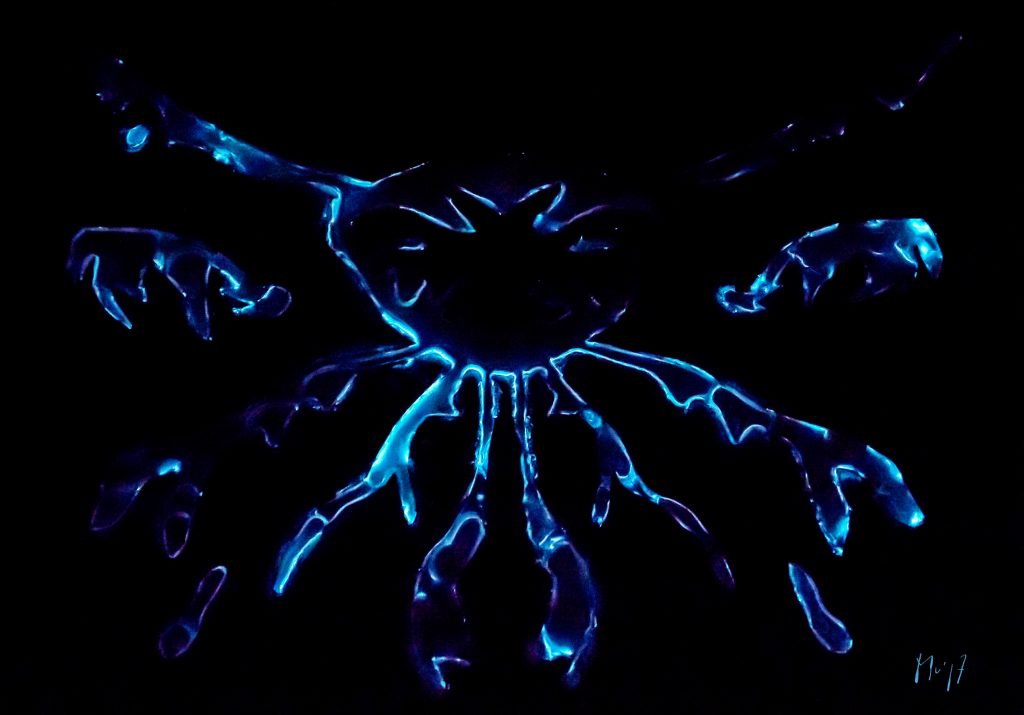 Ça va Ça vient Mu Art Bioluminescent Muriel Blondeau
