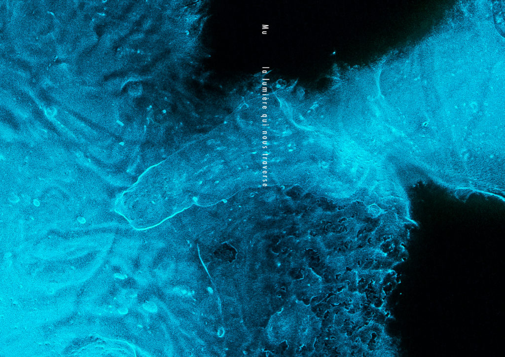 la lumière qui nous traverse Mu couverture Art Bioluminescent Muriel Blondeau