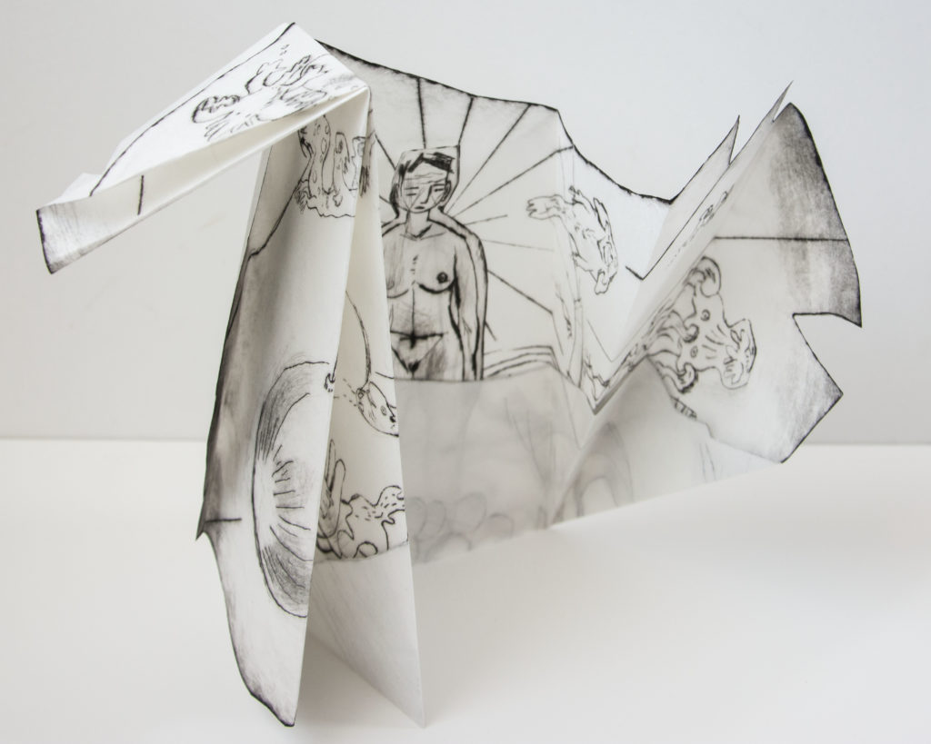 Transmigration Muriel Blondeau editions du carré Pli et territoires Muriel Blondeau